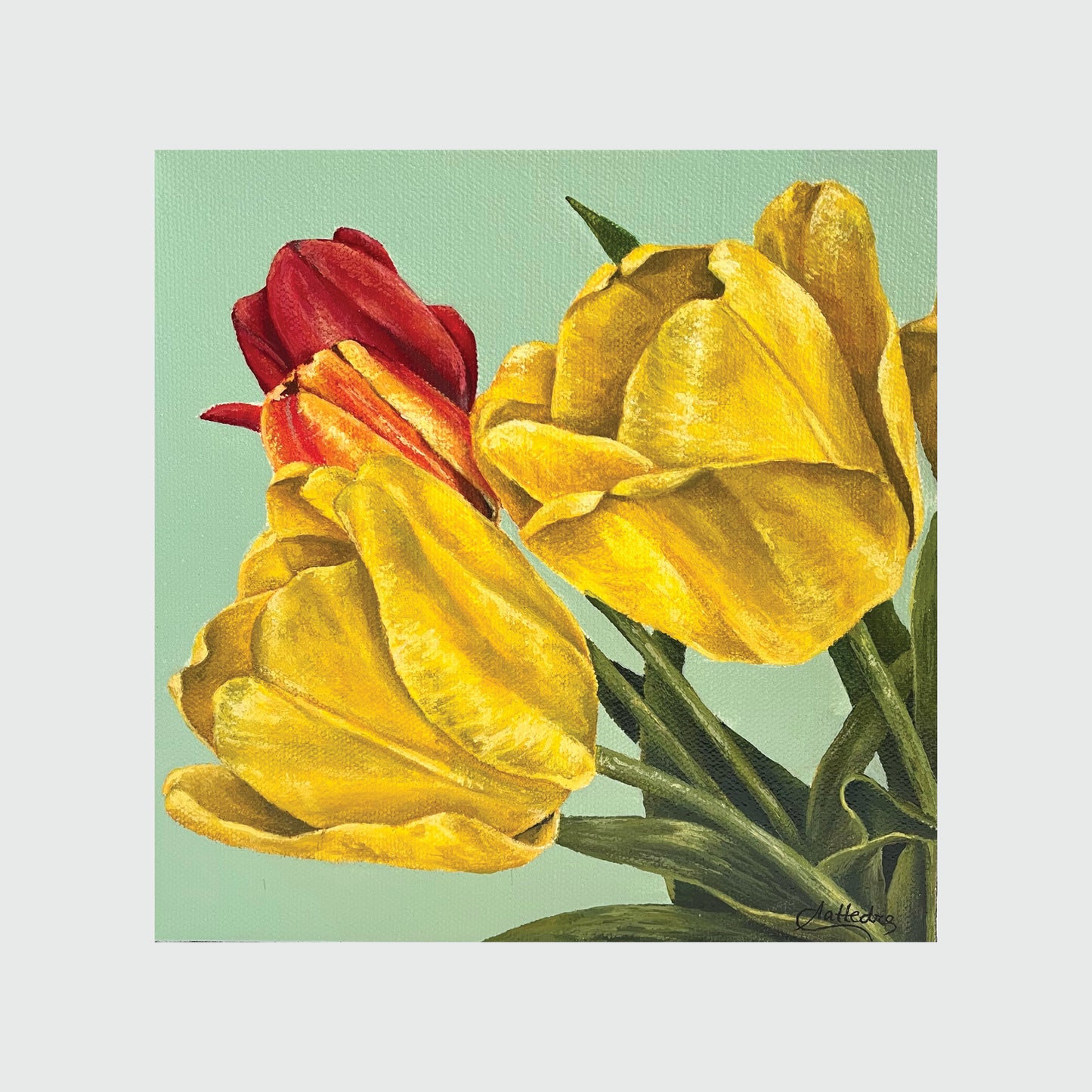 Tulips II