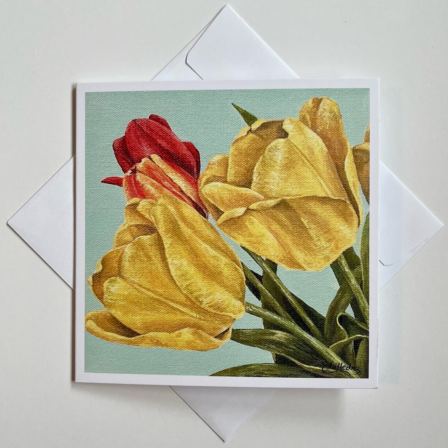 Tulips