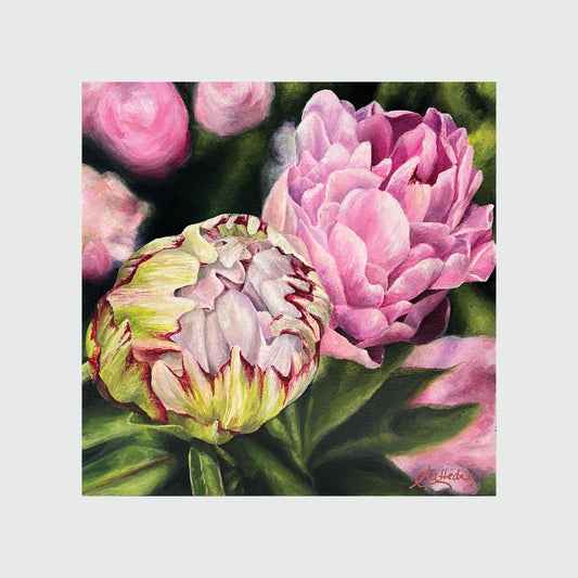 Buds In Bloom (Peony)