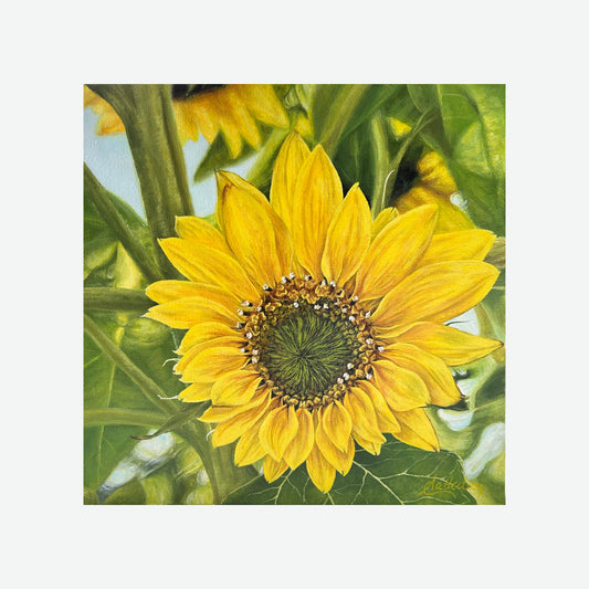 Hello Sunshine (Sunflower)