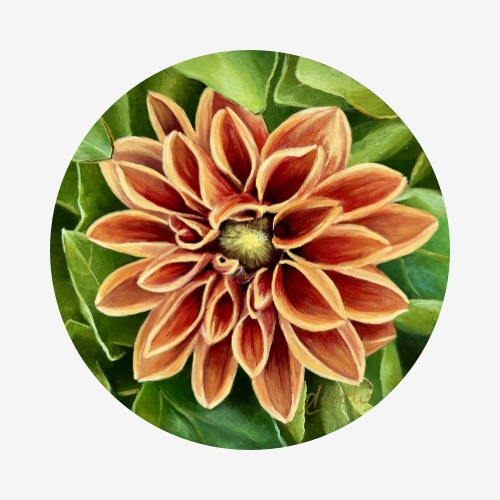 Dahlia III