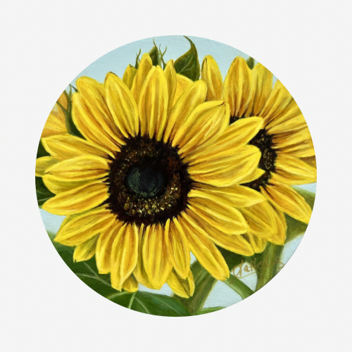 Sunflower V