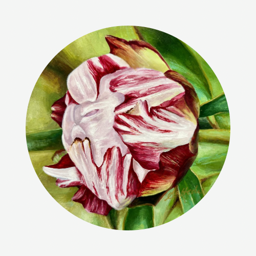 Anticipation II (Peony Bud)
