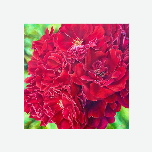 In All Her Glory (Climbing Rose)