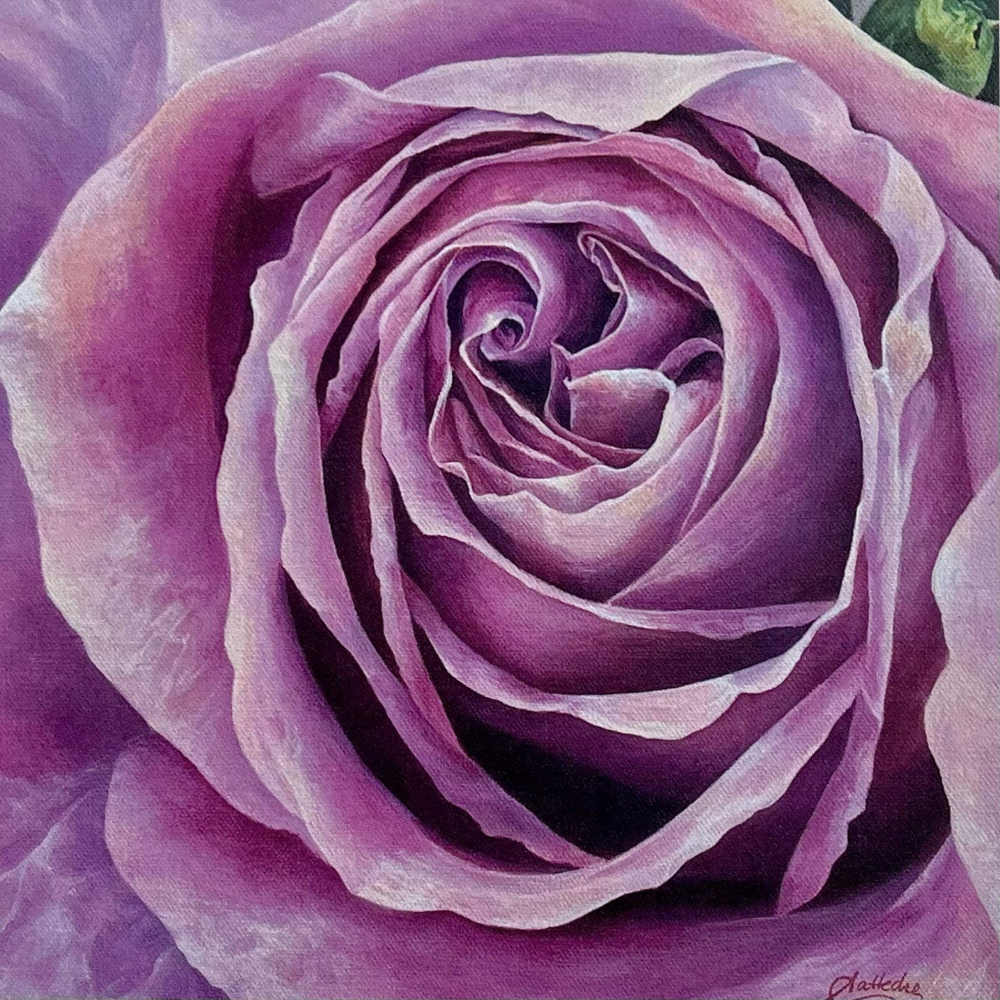 Inner Beauty (Rose)