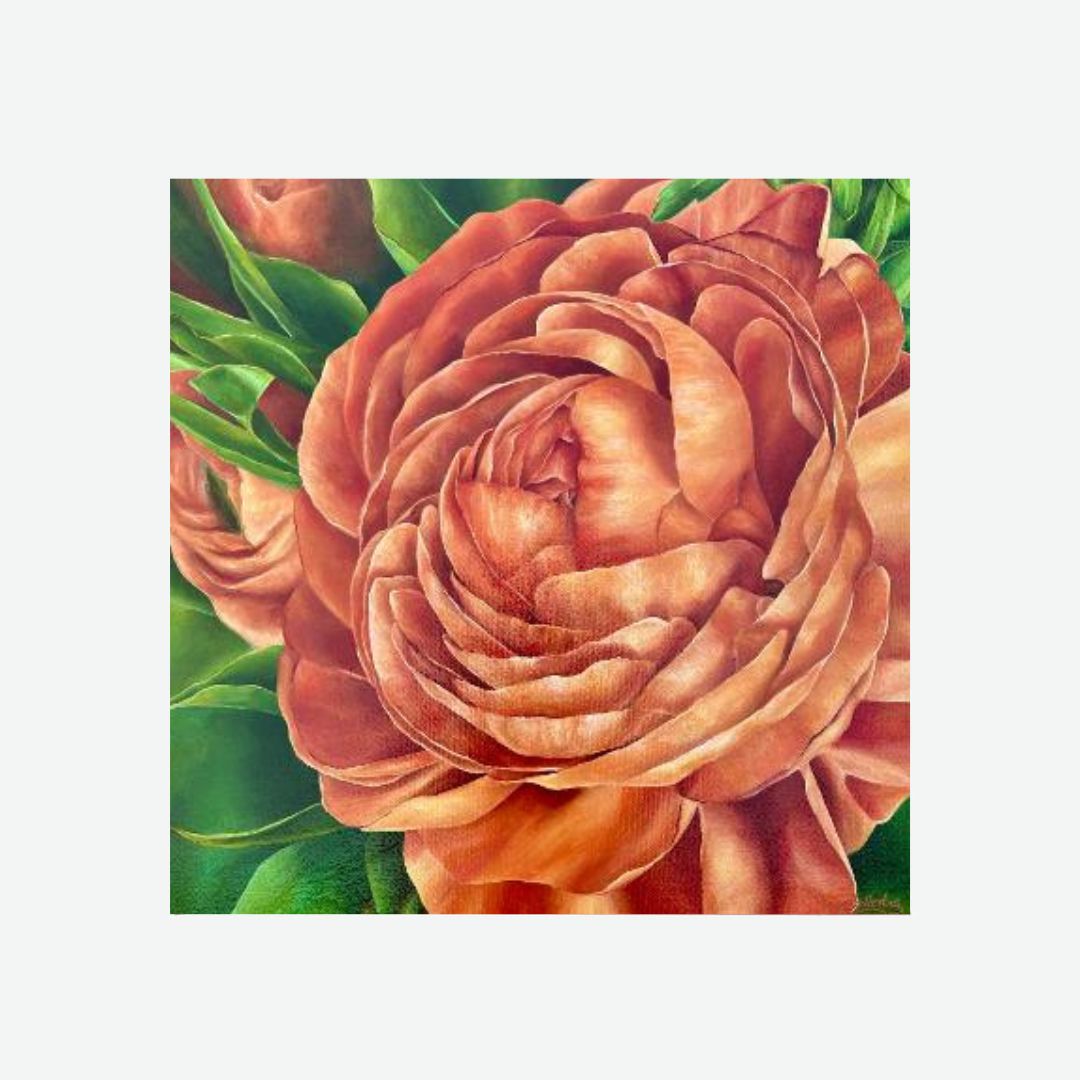 Rustic Beauty (Ranunculus)