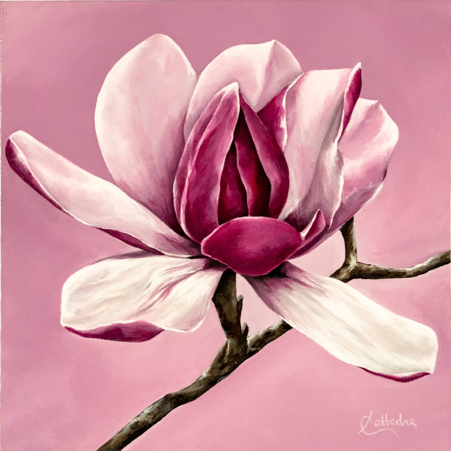 Spring Bloom (Magnolia)