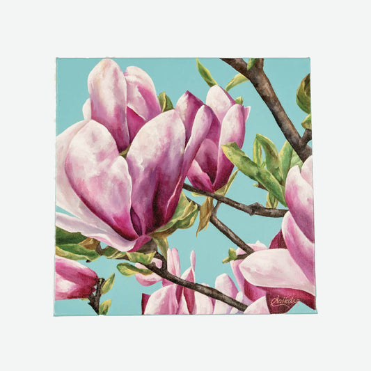 Spring Is In The Air (Magnolia)