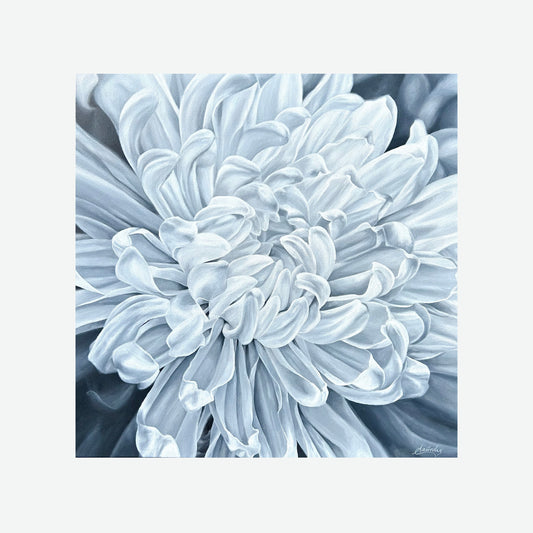 Starlet (Aster)
