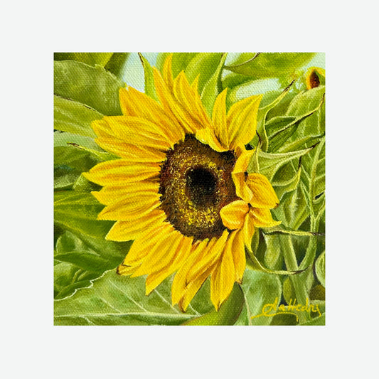 Sunflower IV