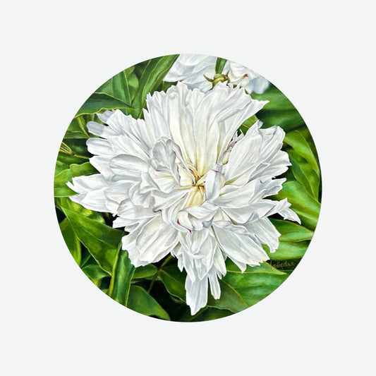 White Peony